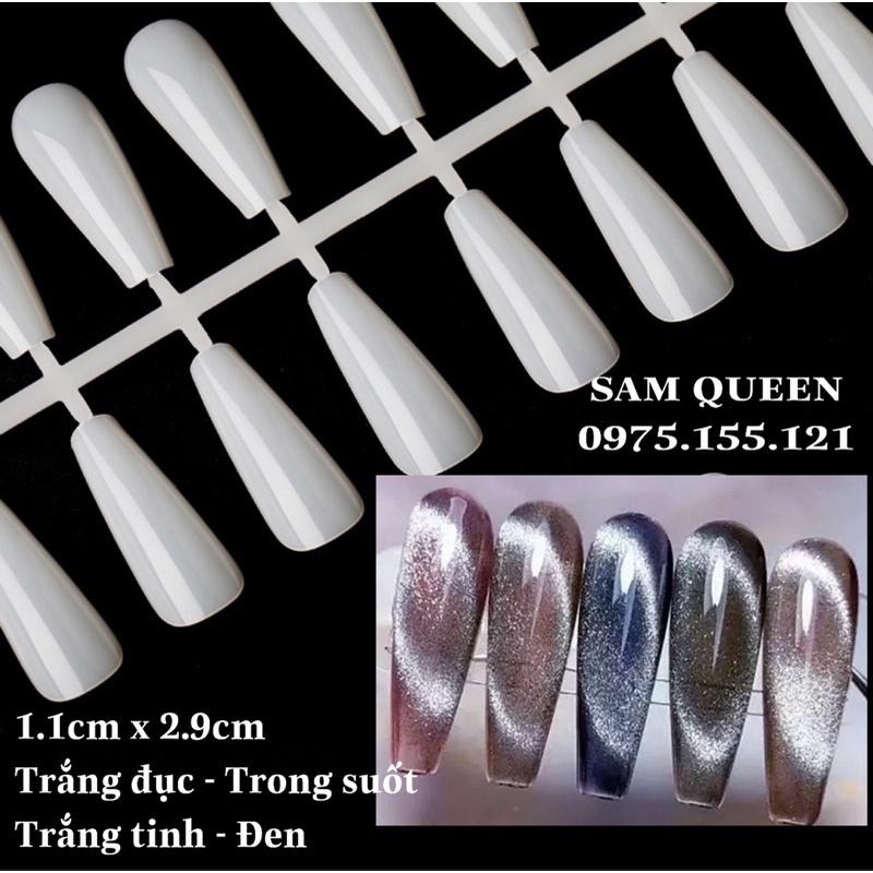 Móng úp vẽ mẫu nail dạng vỉ 240móng đủ form, form chuẩn