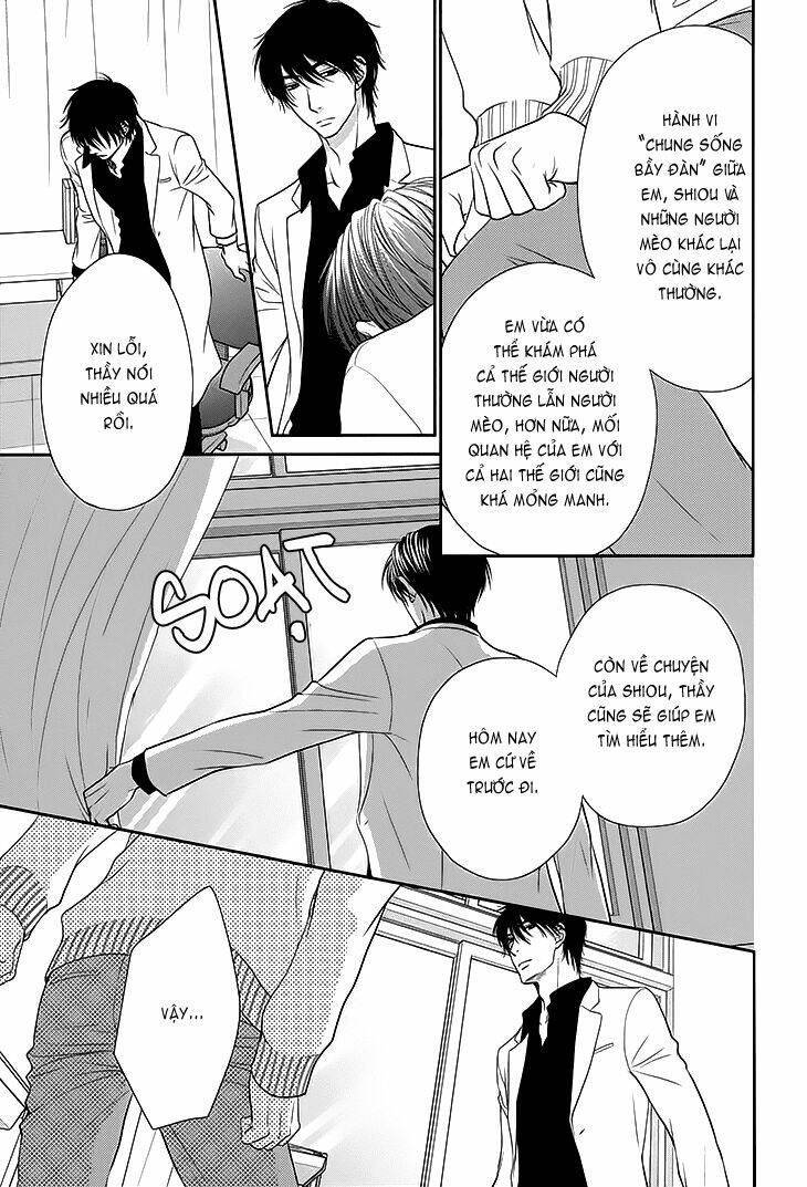 nekoka danshi no shitsukekata chapter 12 15