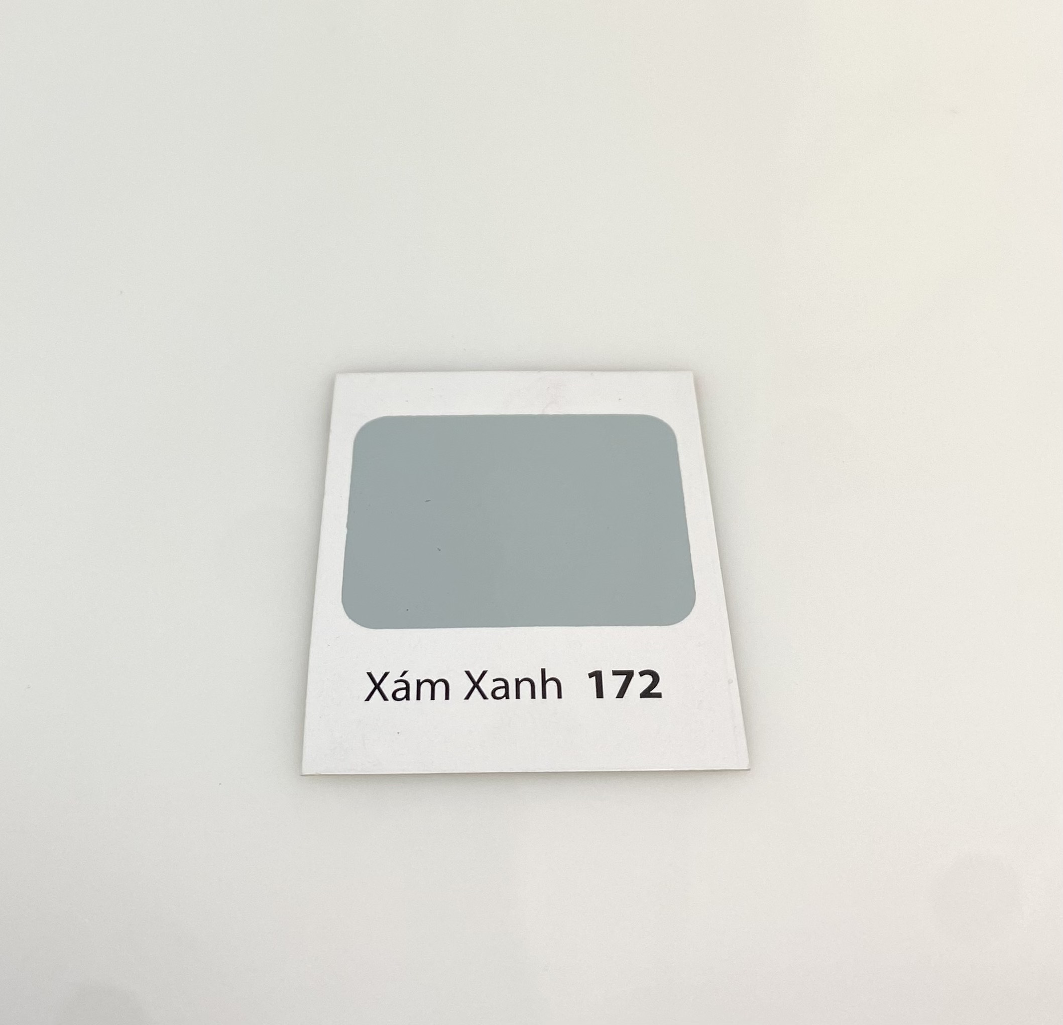 Sơn dầu Bạch Tuyết màu xám xanh 172 3kg