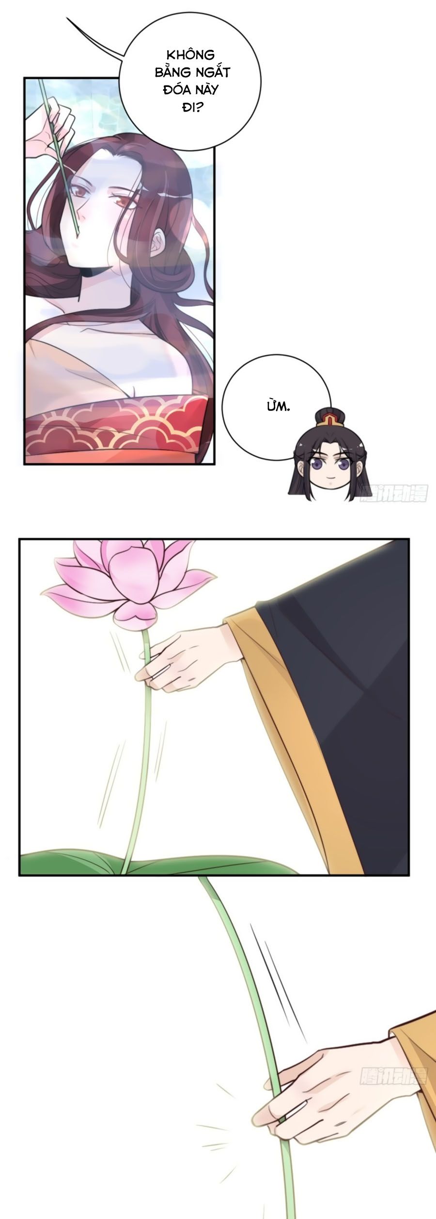 cung đấu live chapter 38 17