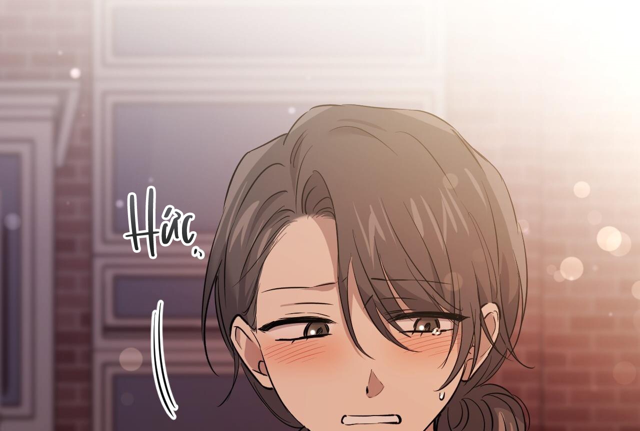 những chú thỏ của hapypy chapter 57 171