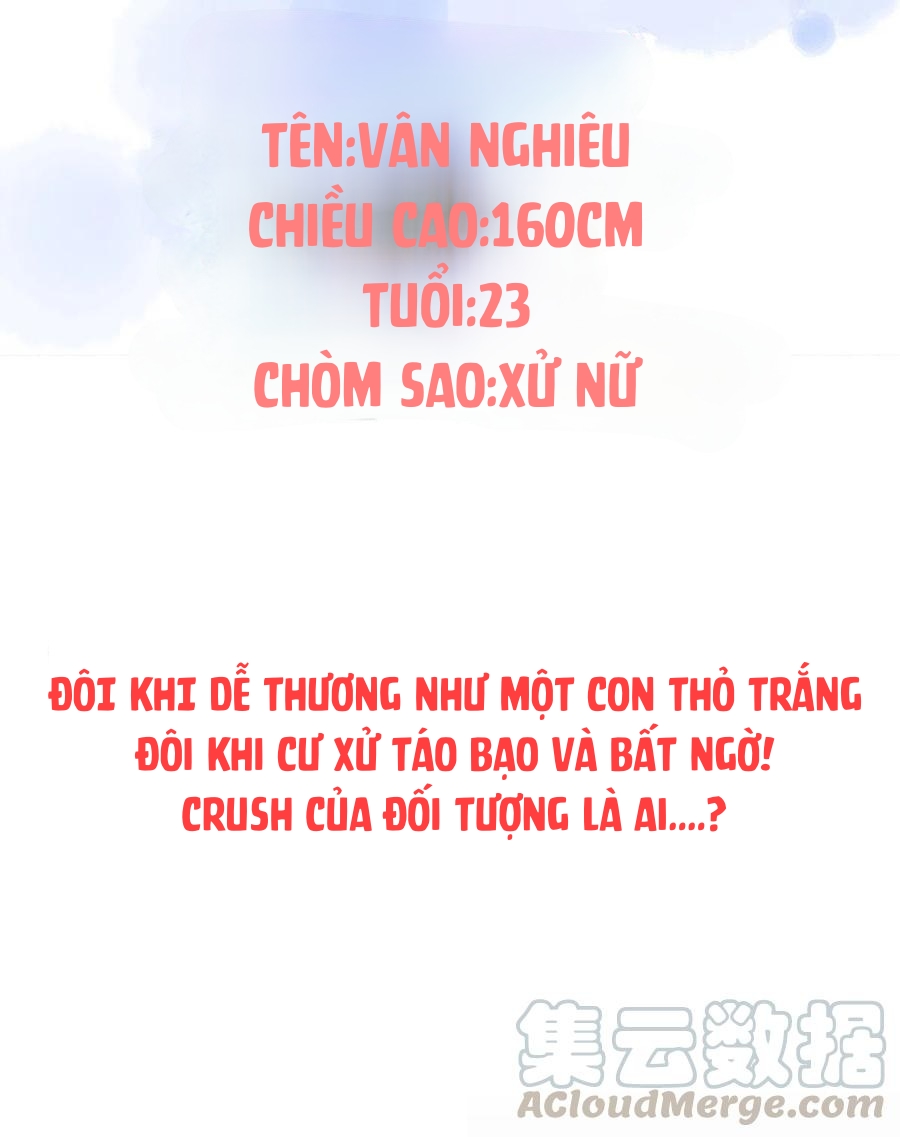 cô thỏ nhỏ của chủ tịch sói chapter 0.1 3