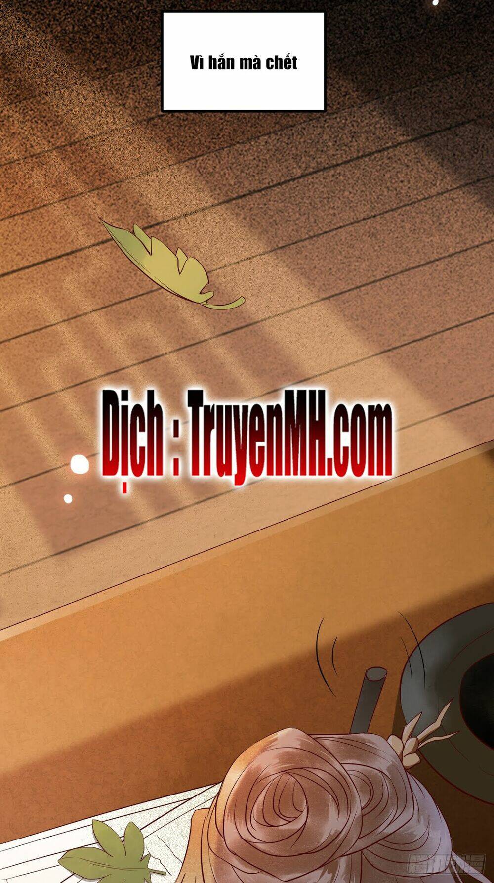 sát thủ vương phi không dễ chọc chapter 17.5 25