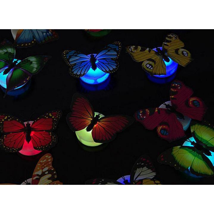 Đèn Led Hình Con Bướm Dán Tường Phát Sáng