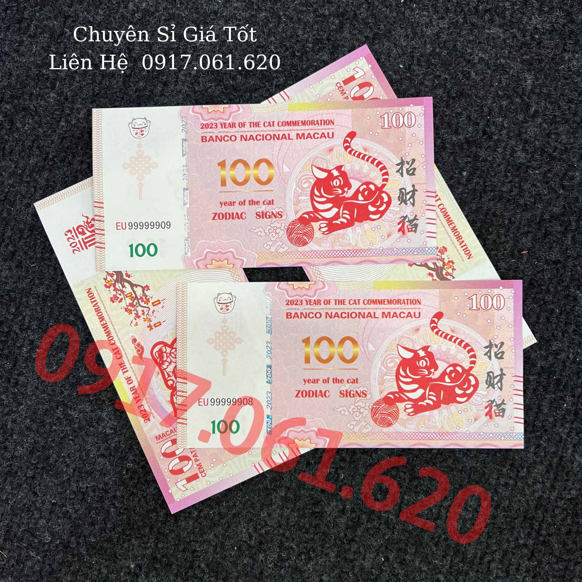 Combo 10 Tờ Tiền Con Mèo Mão Lưu Niệm Mệnh Giá 100 Patacas Do Macau Phát Hành, Lì Xì Tết Quà tặng Quà Biếu 2023