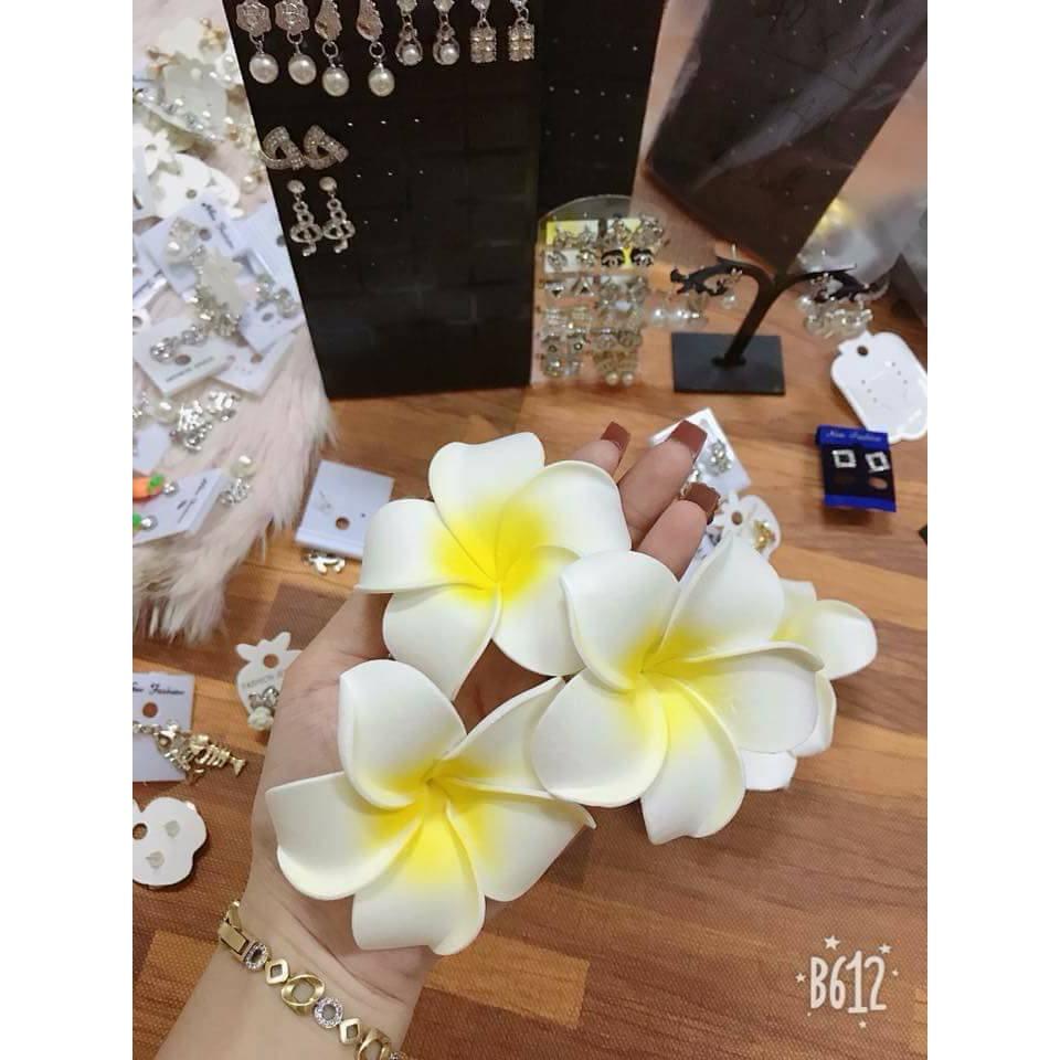 Combo 10 kẹp tóc hoa đại