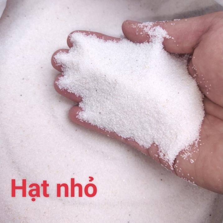 0,5 kg Cát Thạch Anh làm vật liệu lọc nước, trải nền, làm thác cát trang trí bể cá, tiểu cảnh, hòn non bộ