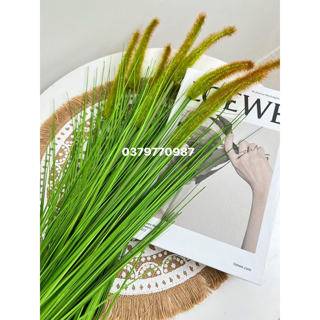 Bông lau decor cao cấp