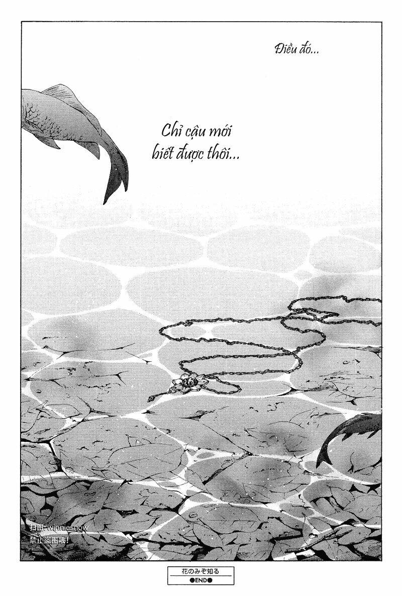 only the flower knows chapter 12 26