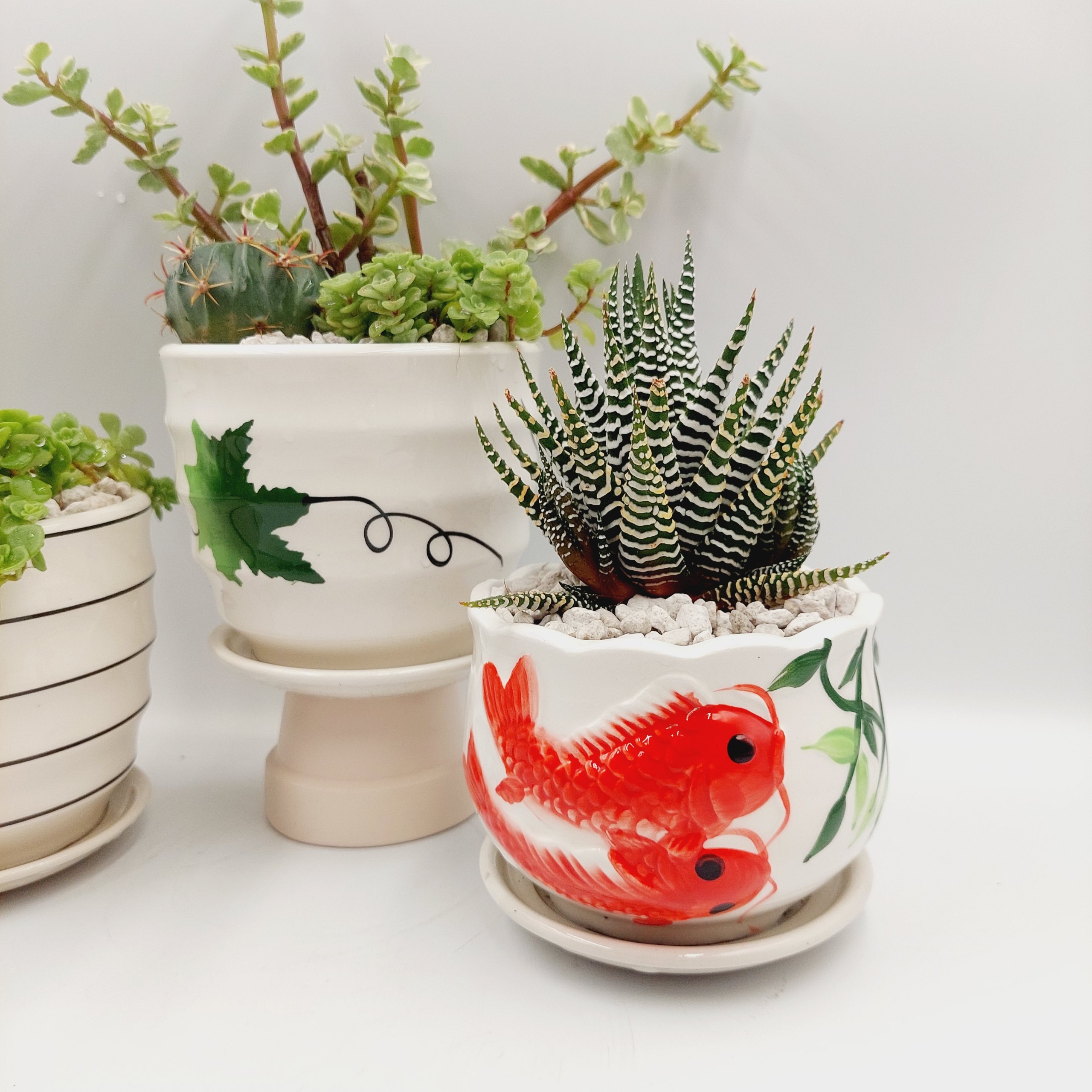 Chậu sứ tráng men size nhỏ, KÈM DĨA, miệng chậu 9-11cm, chiều cao 9-11cm