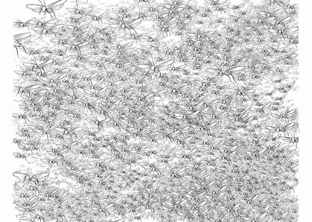 buddha - truyền thuyết đức phật chapter 3 5