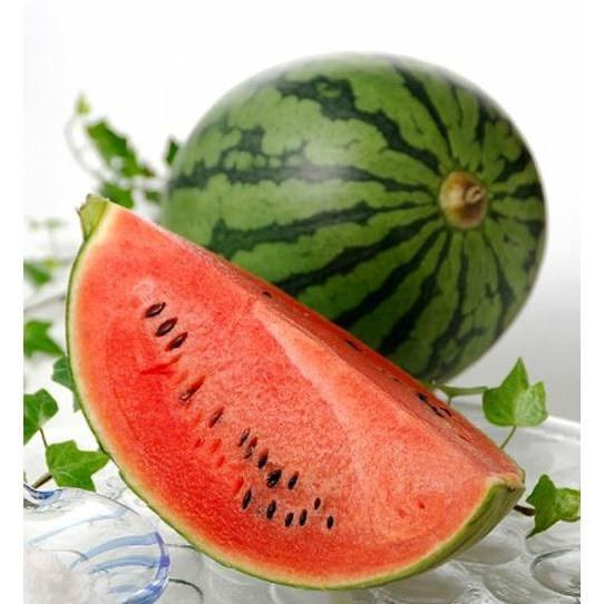 Hạt giống dưa hấu siêu ngọt