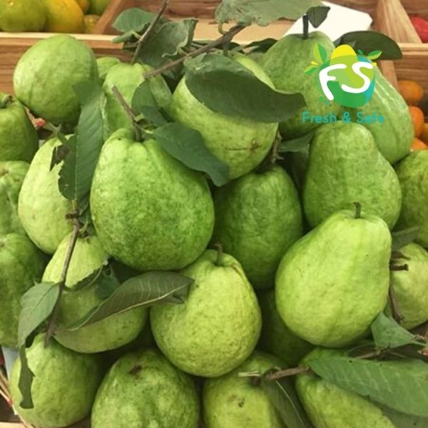[CHỈ GIAO HN] Ổi lê - 1KG