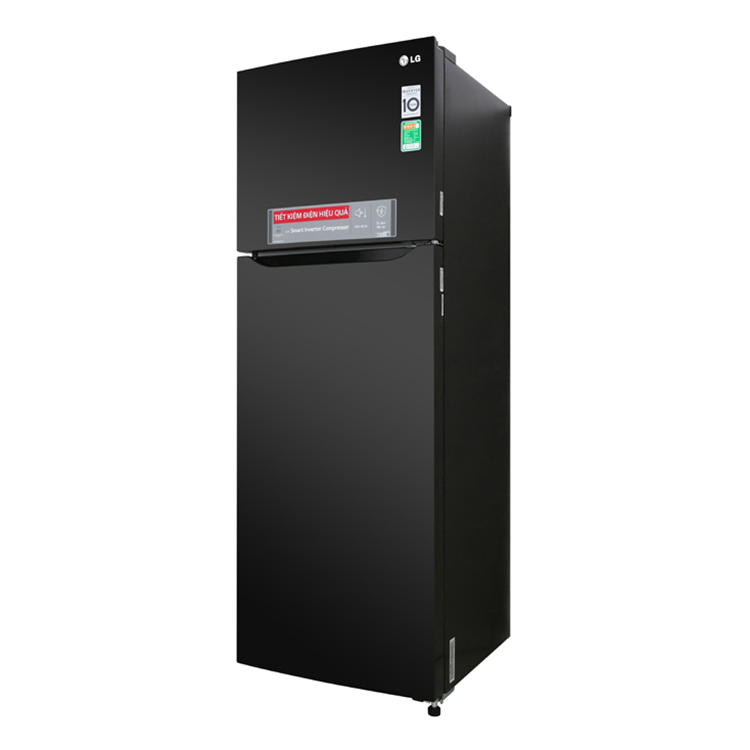 Tủ Lạnh Inverter LG GN-M315BL - Hàng chính hãng