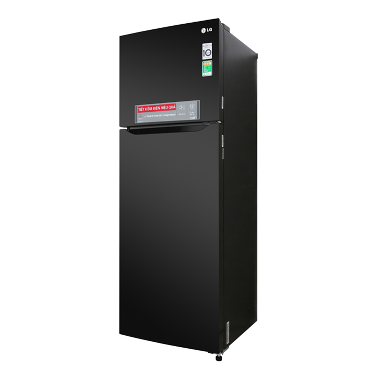 Tủ Lạnh Inverter LG GN-M315BL (315L) - Hàng chính hãng