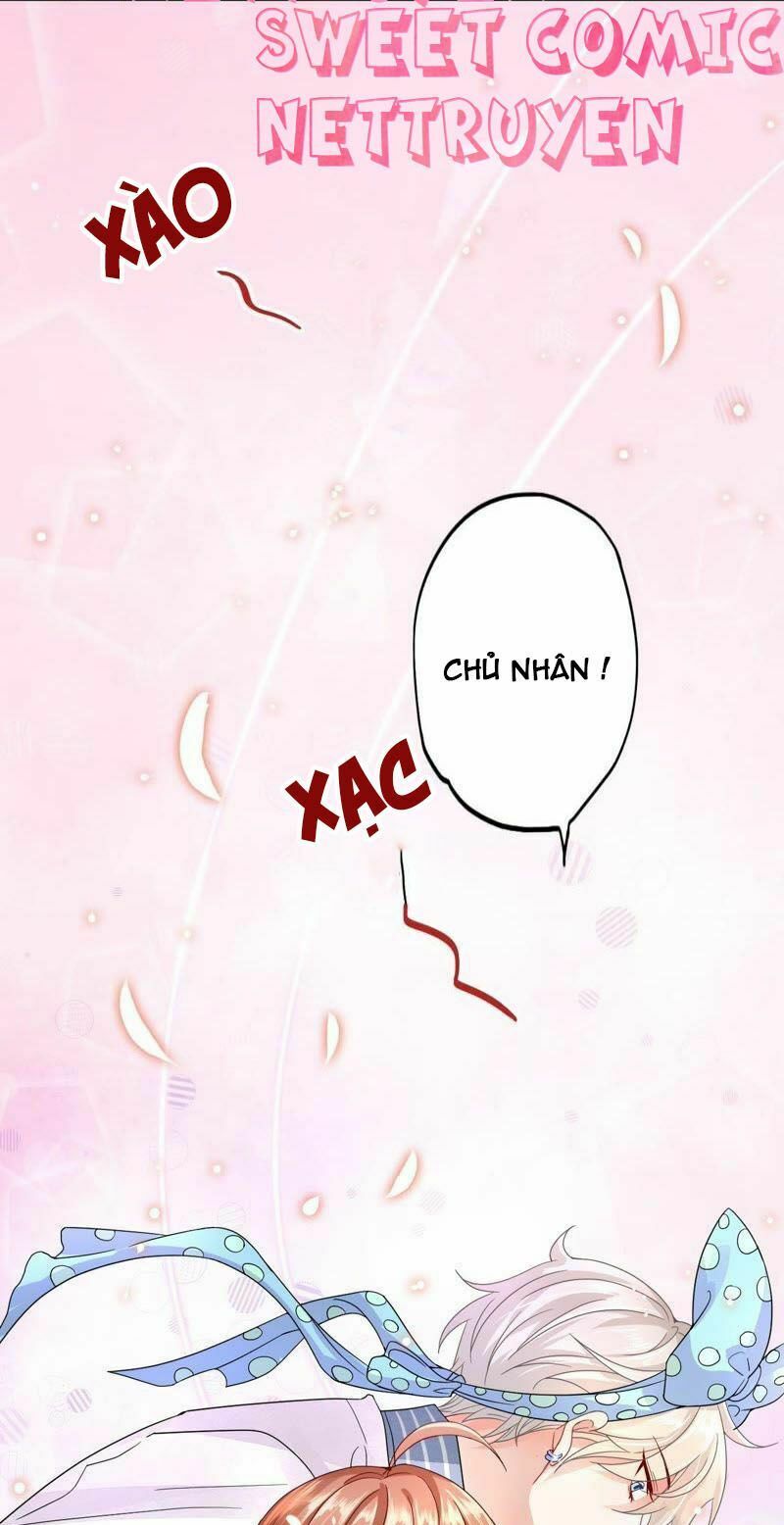 chàng trai người máy ấm áp 741 của tôi chapter 3 15