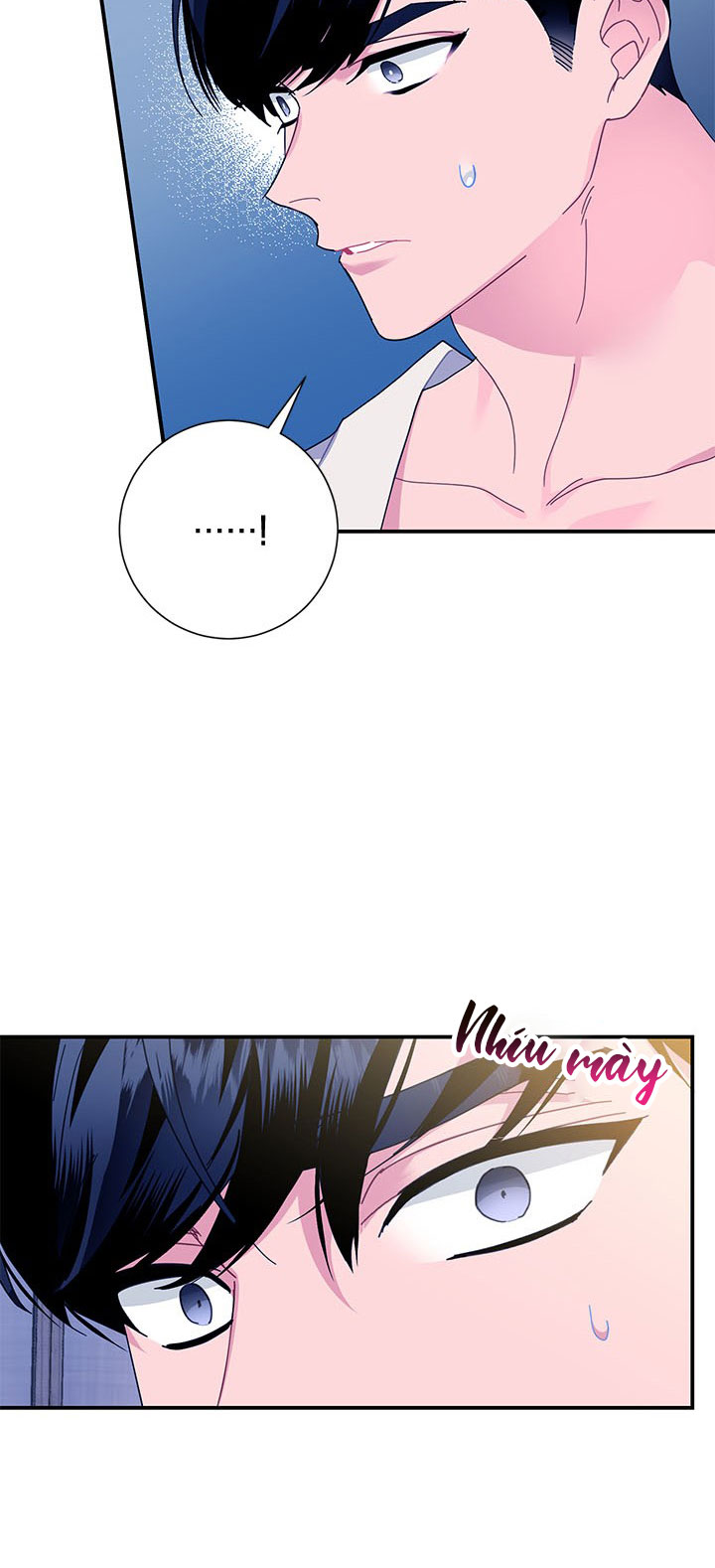 công chúa của loài chim chapter 53.1 41