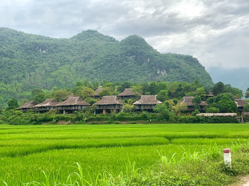 Tour Mộc Châu - Mai Châu - Cầu kính Bạch Long 2 ngày 1 đêm, Khởi hành thứ 7