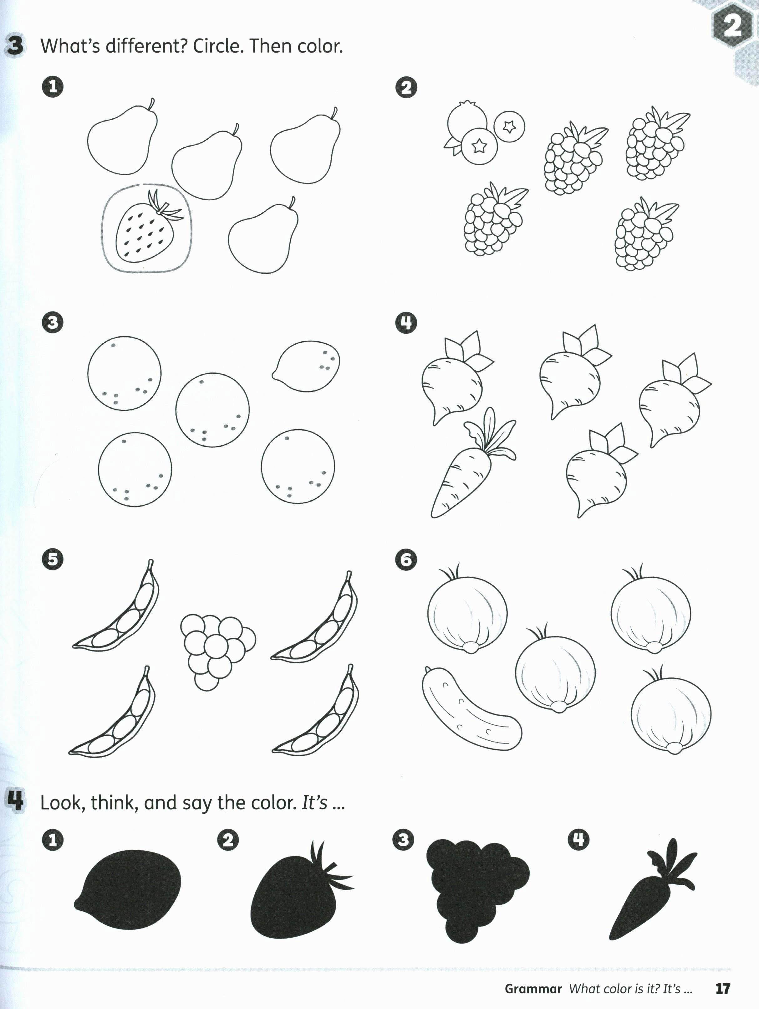 Buzz Starter Workbook