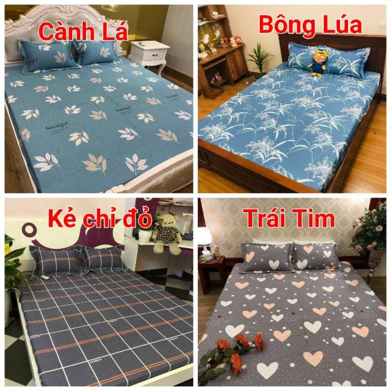 Bộ Ga Giường và Vỏ Gối Cotton 100%. Ga chun và 2 Vỏ gối