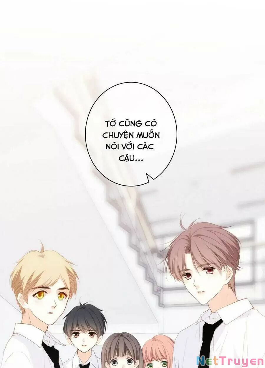 con tim rung động 2 chapter 145 29