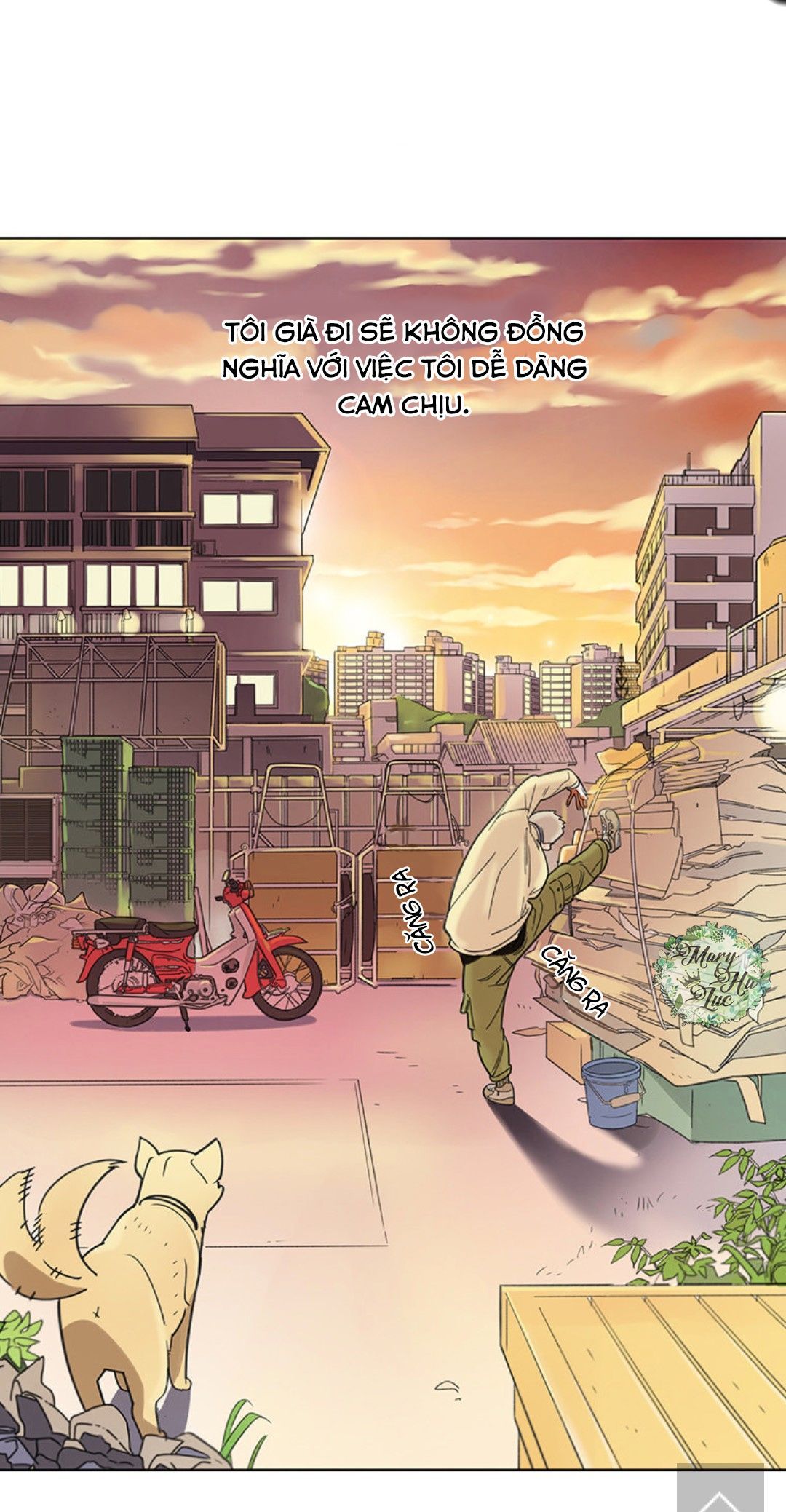 tôi muốn bay như một con bướm chapter 1 29