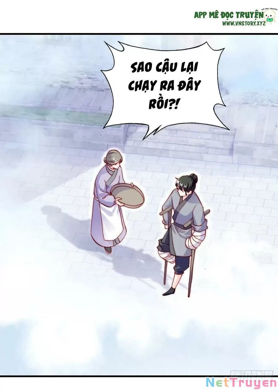 lại bị bệnh chiều chuộng quấn lấy chapter 68 18