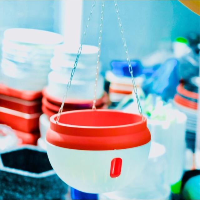 Chậu Treo Thông Minh, Chậu Treo Tự Dưỡng - không sợ thiếu nước - Smart Hanging Pots, Self-Hanging Hanging Pots