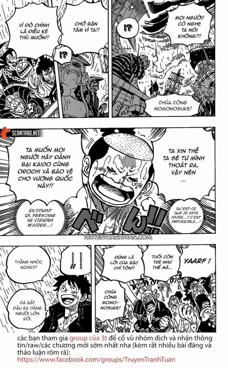 đảo hải tặc - one piece chapter 976 8