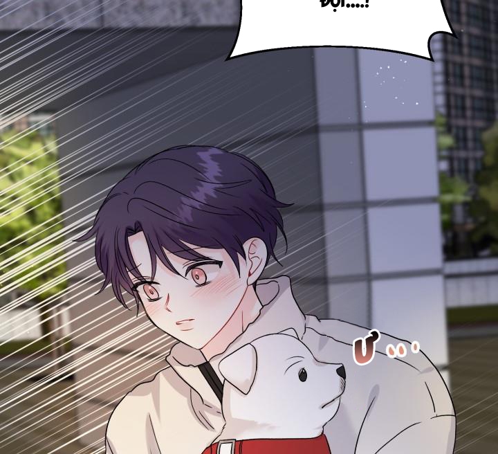 xác suất tình yêu chapter 62 147