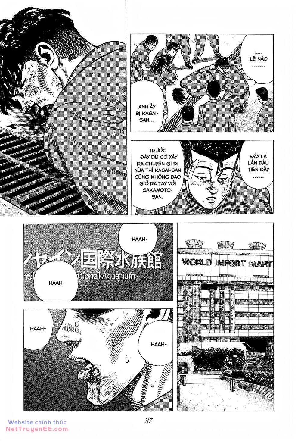 Maeda Taison Blues chapter 262 15