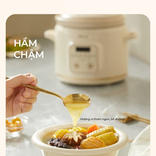 Nồi Nấu Chậm 2L Bear DDG-E20M1 (SC-4H20Q) | 175W - Lòng Gốm Sứ - 6 Chế Độ Tích Hợp -  Hàng Chính Hãng