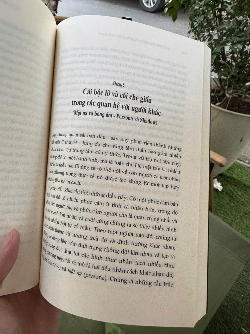 BẢN ĐỒ TÂM HỒN CON NGƯỜI CỦA JUNG - Khám Phá Thế Giới Nội Tâm Qua Lăng Kính Của C.G. Jung – Murray Stein – Alphabooks – NXB Tri Thức