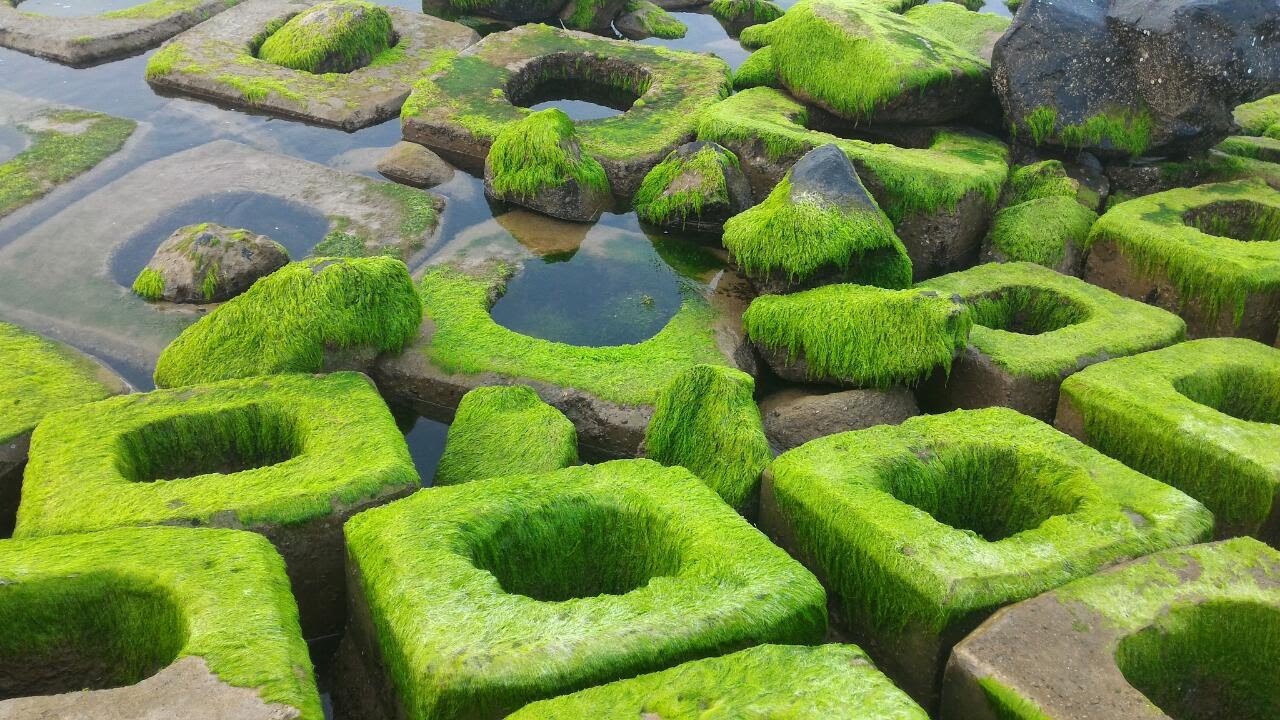 TOUR QUY NHƠN - PHÚ YÊN 3N3Đ