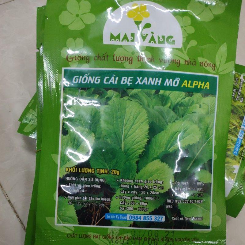 Hạt giống Cải bẹ xanh mỡ