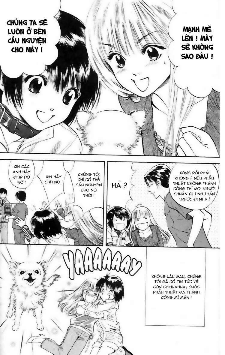 cô nàng yêu chó chapter 7 14