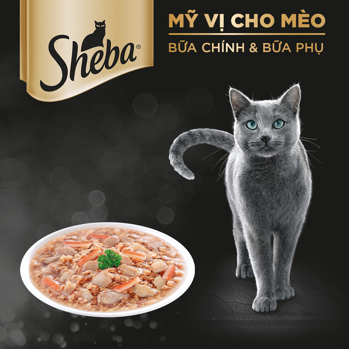 SHEBA Pate cho mèo sành ăn - Thức ăn cho mèo trưởng thành dạng sốt, 70g