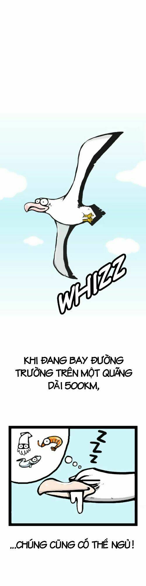 earth, human, and animal chapter 1 13