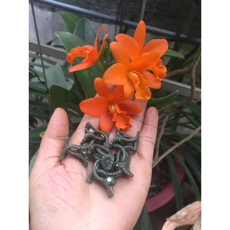 SET 50 cái KẸP BƯỚM CỐ ĐỊNH HOA LAN LOẠI 1