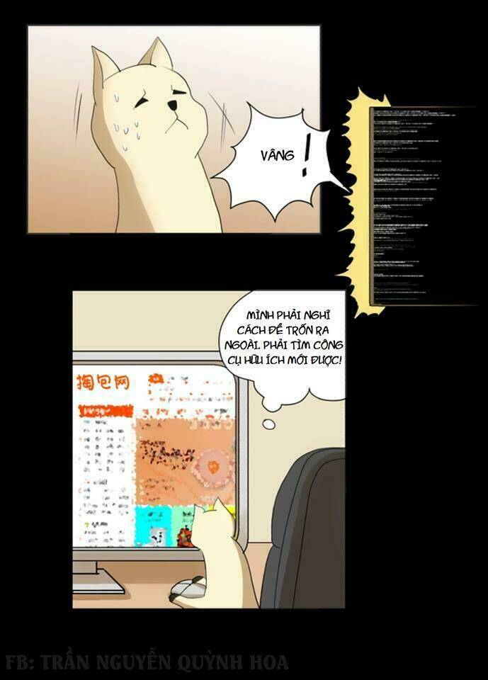 fod star chapter 2 2