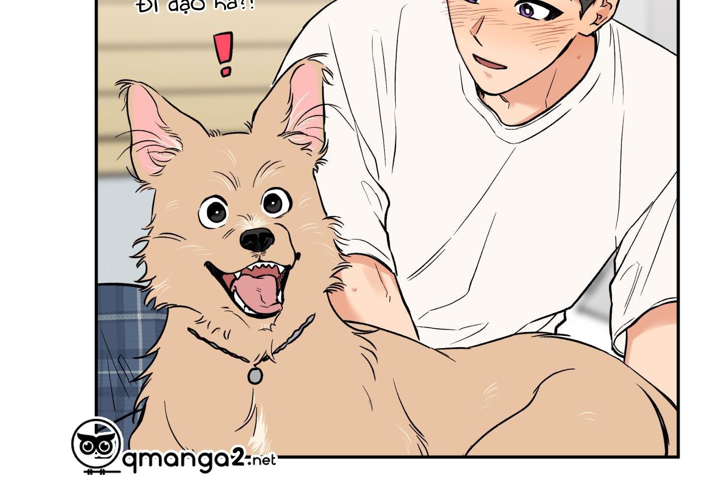 gâu gâu! chapter 49 95