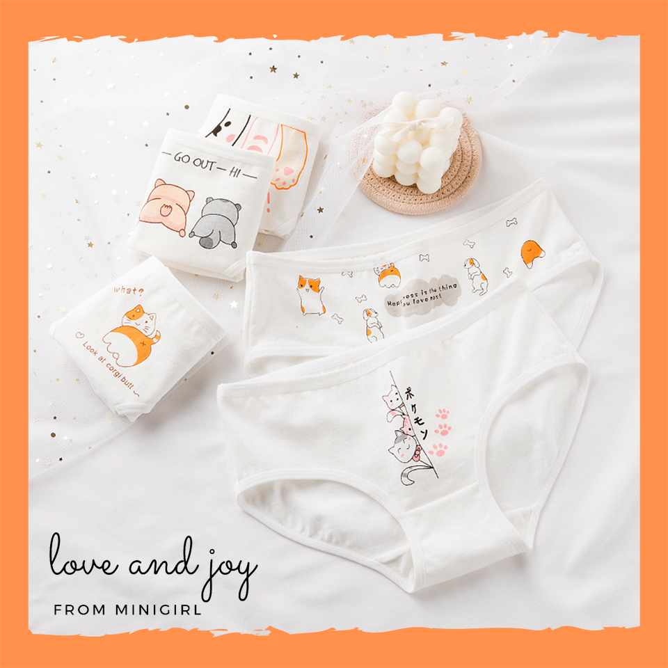 Set 5 quần lót nữ cotton hình mèo dễ thương