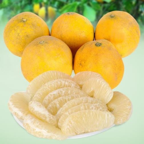 Cây bưởi Diễn cao 70cm cho quả siêu sớm -Không giao dc 19 tỉnh Miền Nam