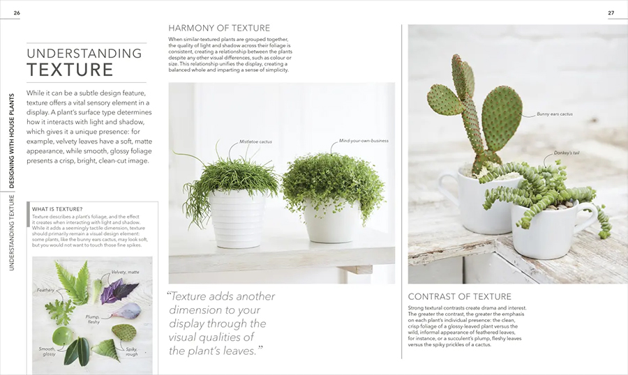 RHS Practical Houseplant Book