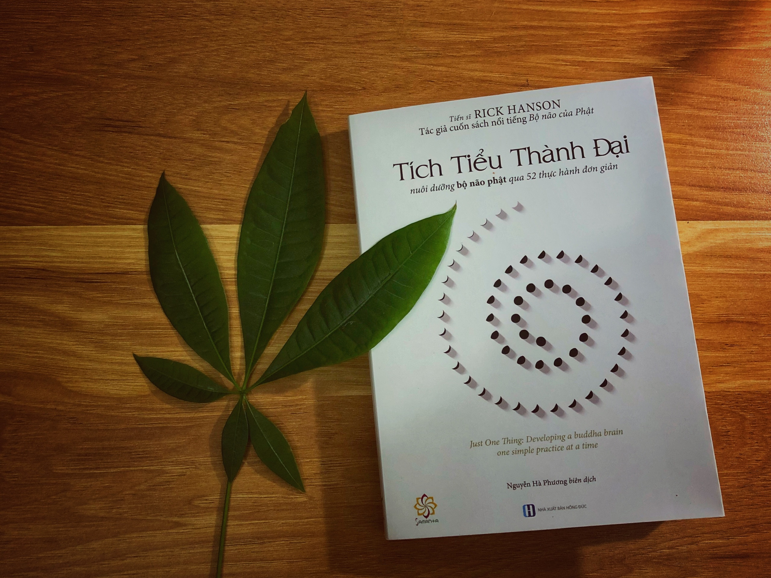 Tích Tiểu Thành Đại