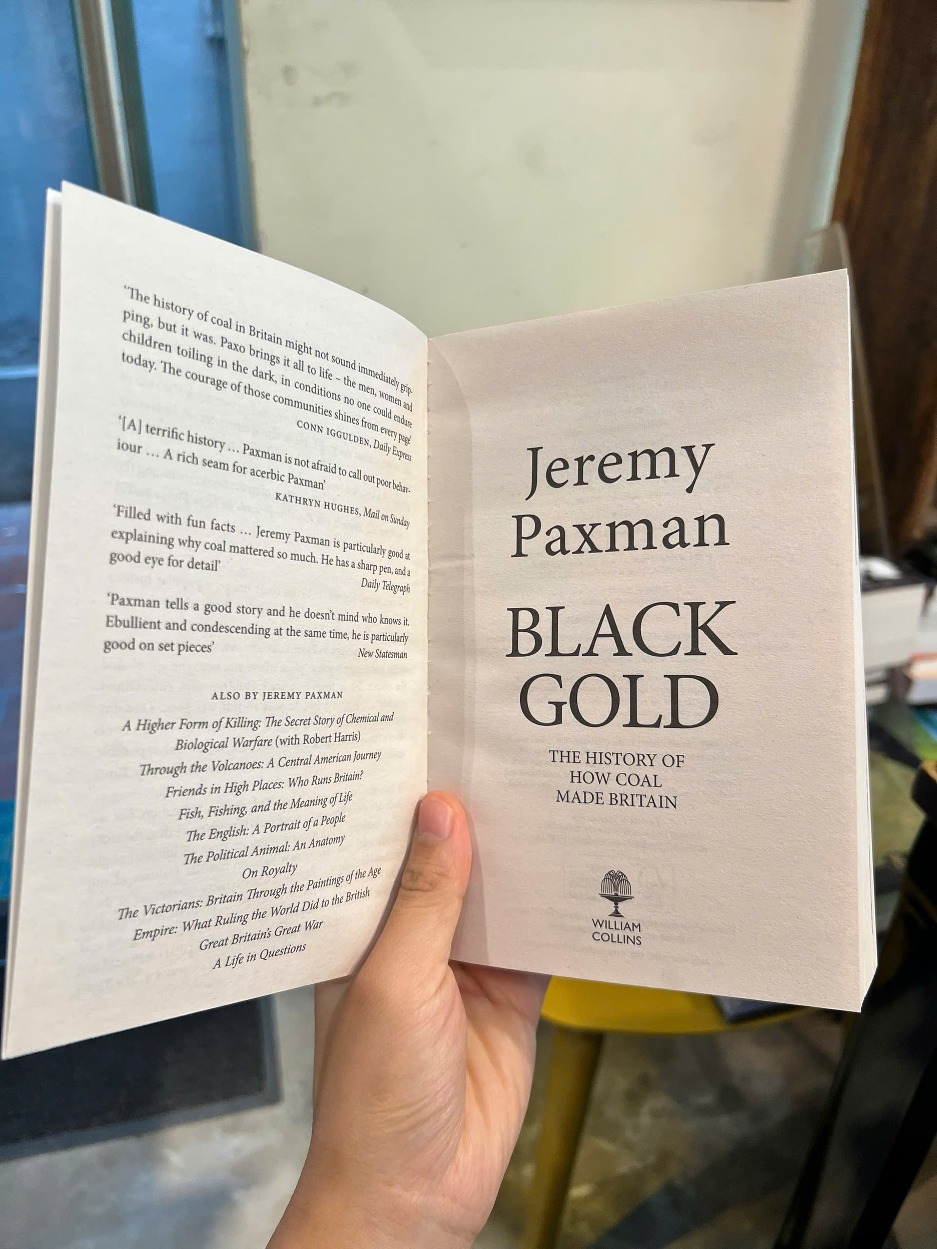 Sách - Black Gold: The History of How Coal Made Britain | Politics / Sociology / Ngoại văn Nhập khẩu