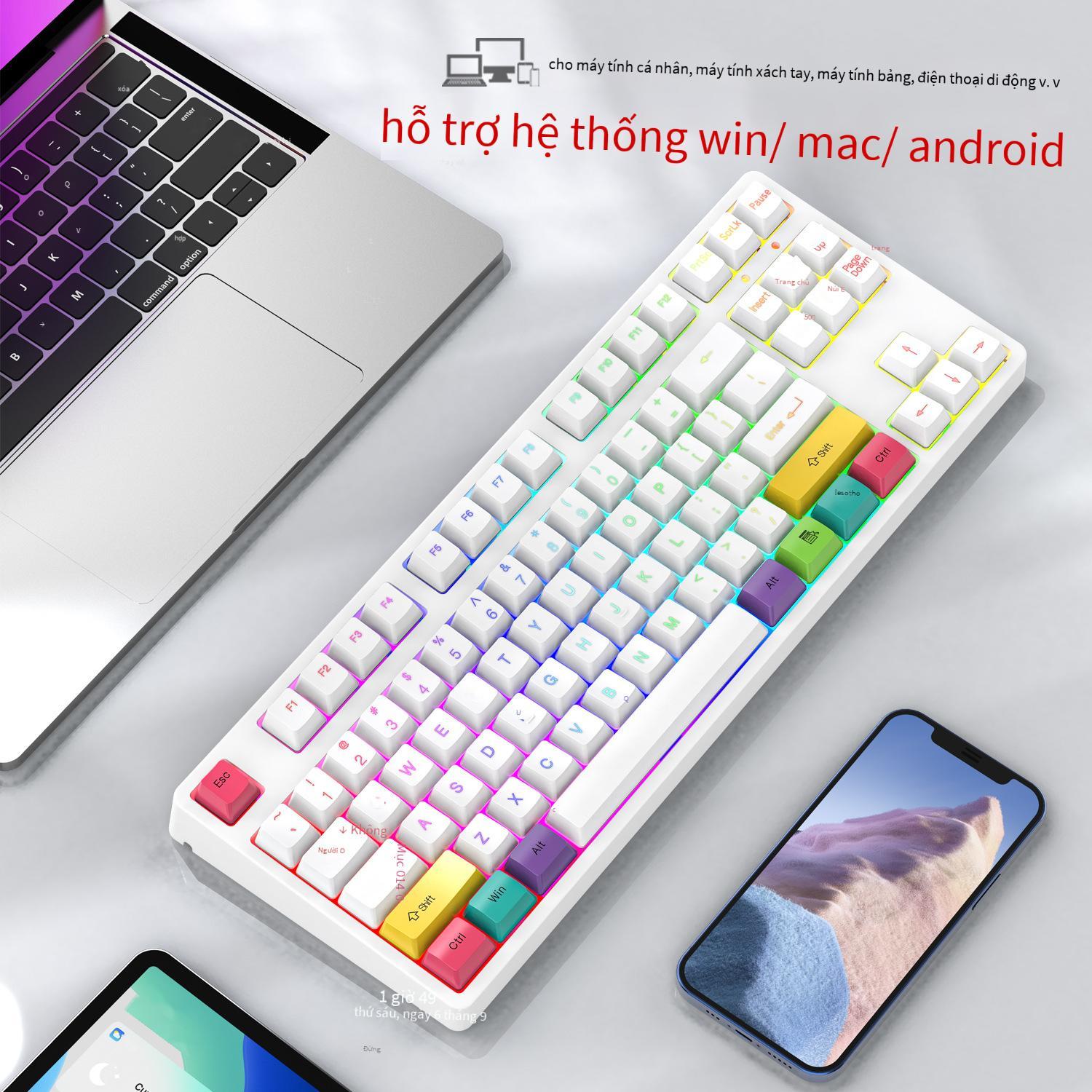 Đảm bảo chất lượng bàn phím sạc không dây macro 2.4G bluetooth 3 chế độ pha lê trong suốt Bàn phím cơ phát sáng RGB phím văn phòng trò chơi