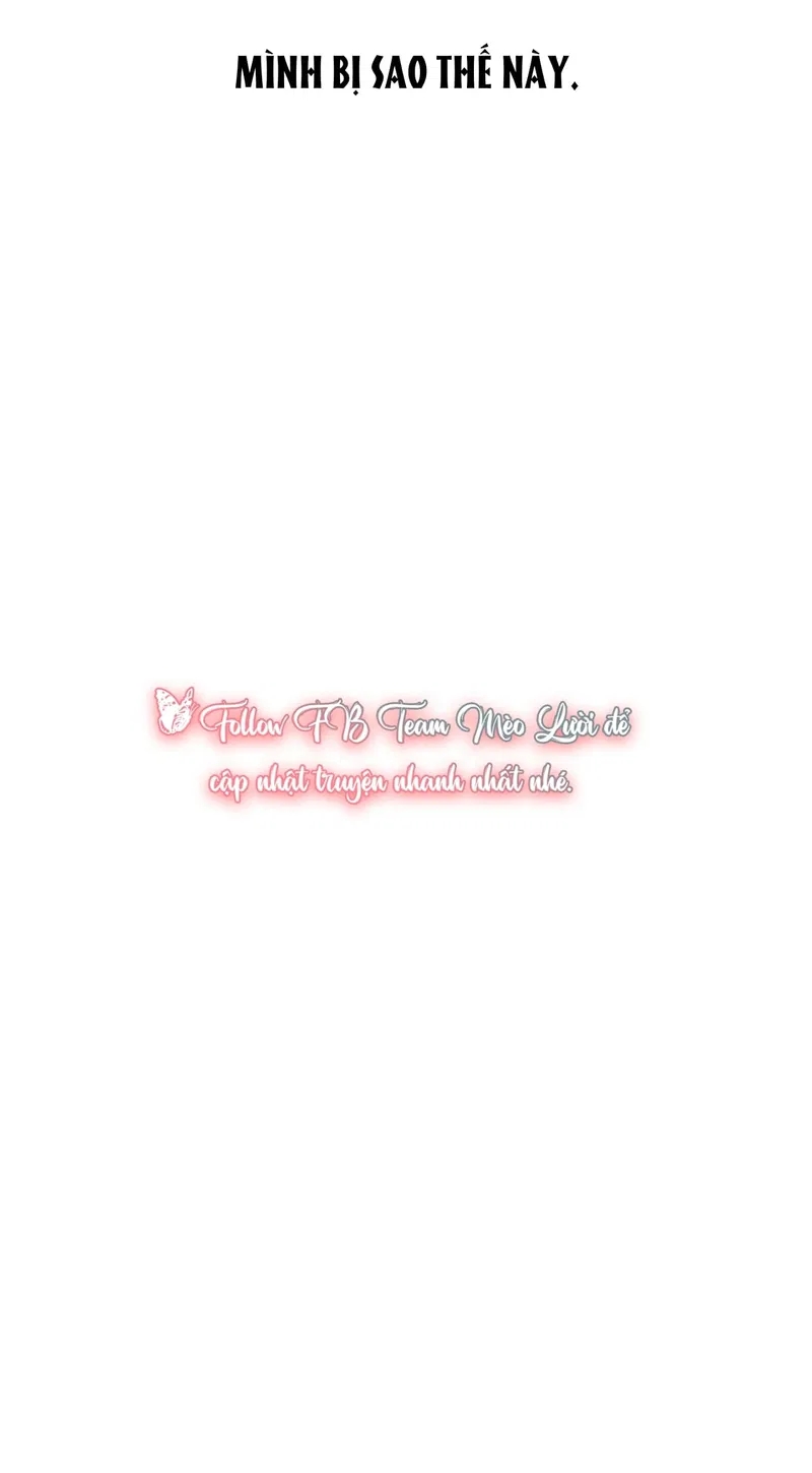 đừng bận tâm, em yêu chapter 1 15