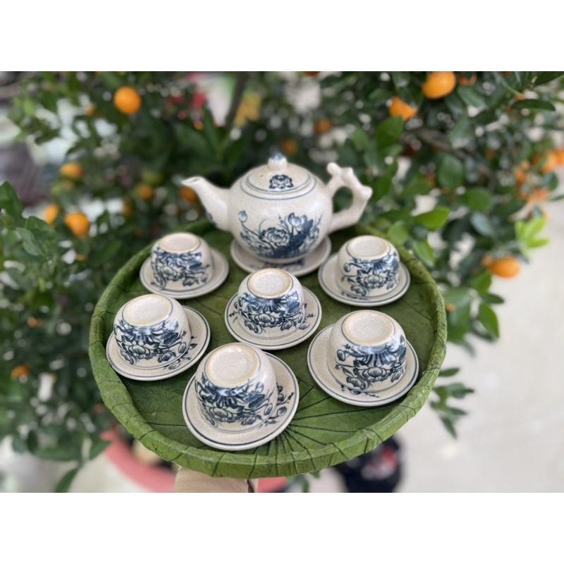 Bộ ấm chén gốc cây
