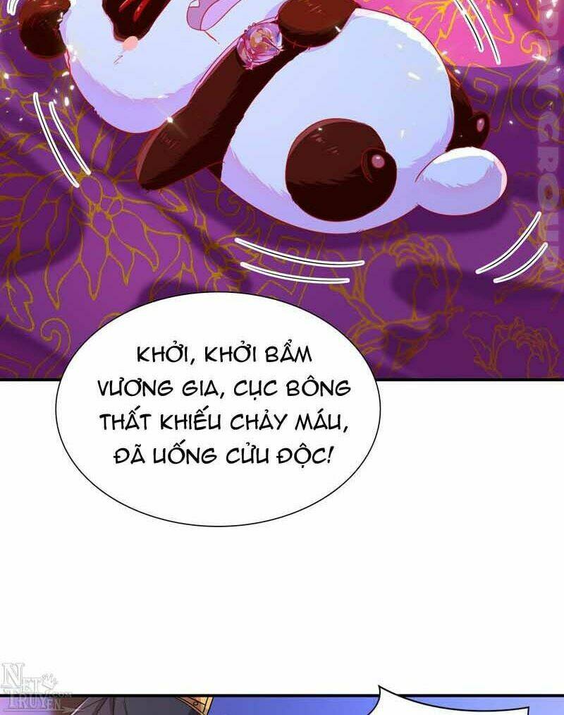 thiên thần gấu trúc muốn được ôm chapter 52 15